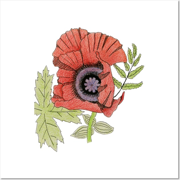 Poppy Wall Art by lindaursin